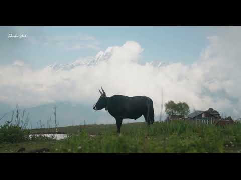 Usai kali Rat | Teaser | Gauri Bhatta | Deuda Song #tekendrashah #aisongs