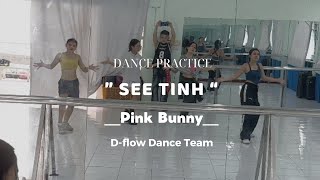 SEE TÌNH - PINK BUNNY I Dance Practice