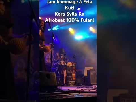 Kara Sylla Ka & Band @ Mai au parc Festival un hommage à Fela Kuti Afrobeat 100% Fulani music