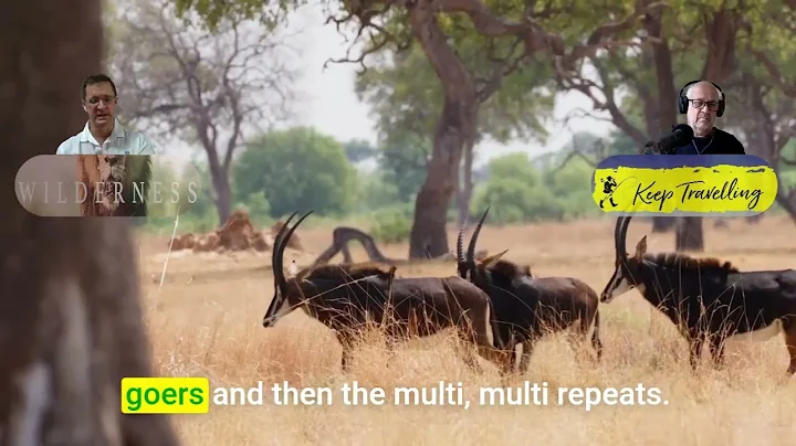 Inside Little Ruckomechi: Zimbabwe’s Most Exclusive Safari with Graham Simmonds!