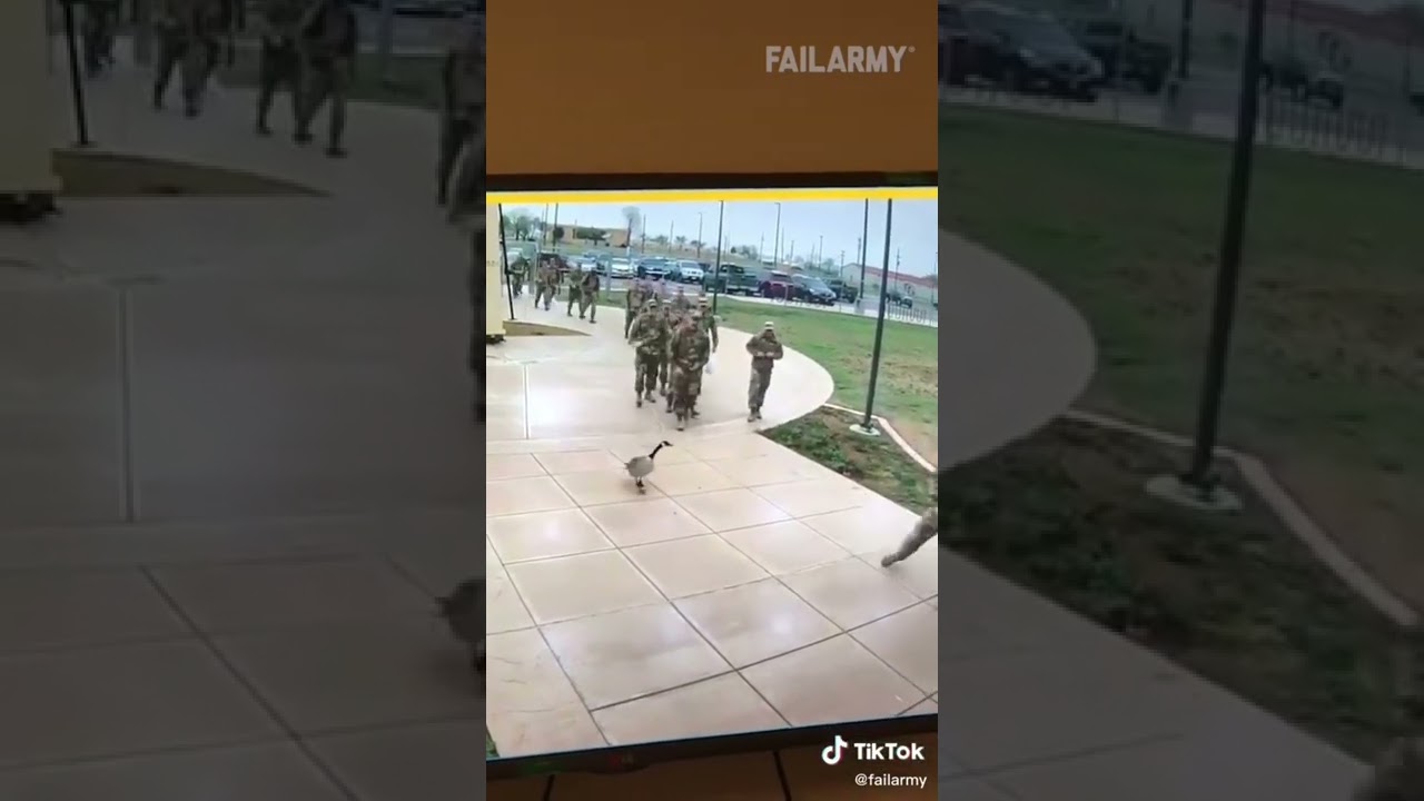 Commanding officer Duck 