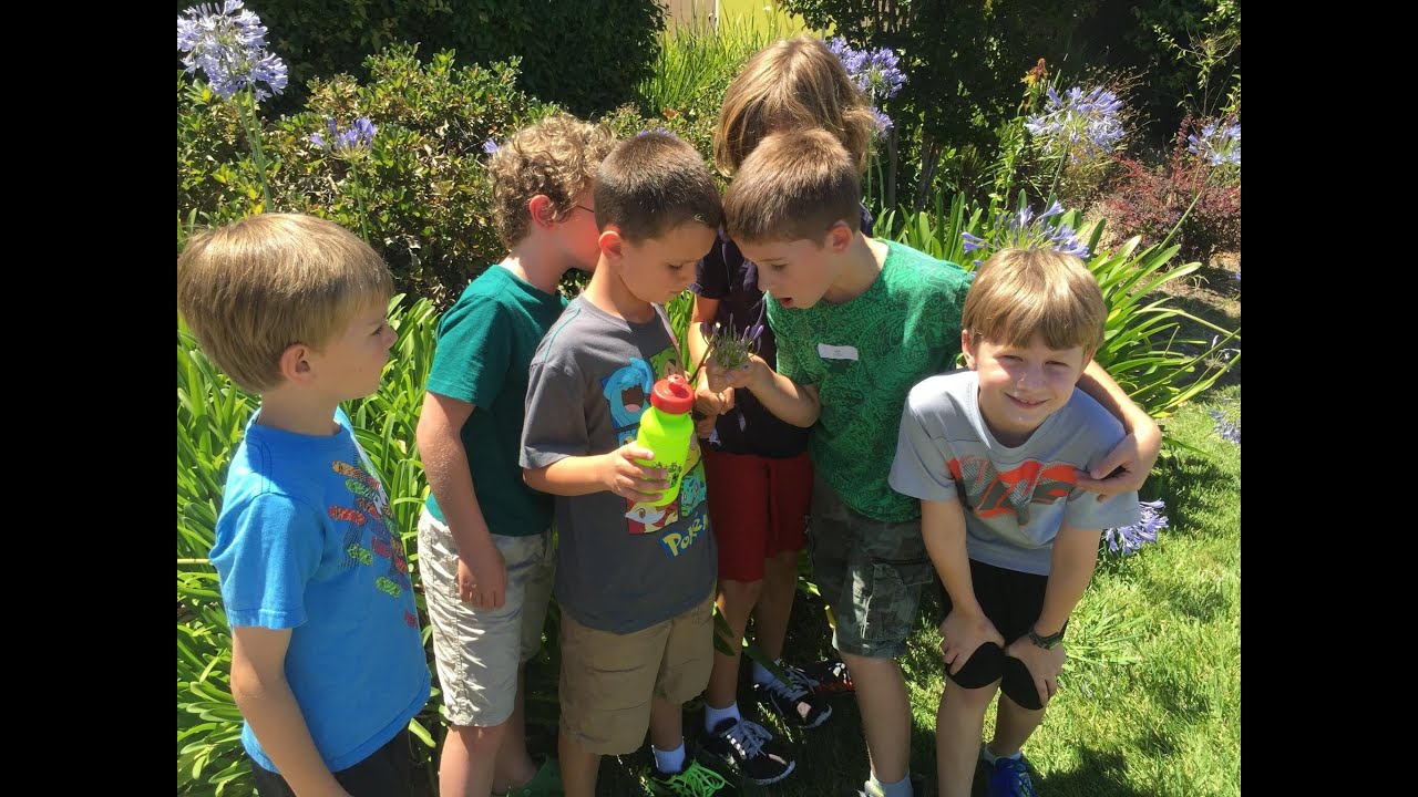 Camp Edmo Helps Kids Discover Science, Nature & Practice Kindness