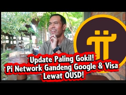Update Paling Gokil! Pi Network Gandeng Google & Visa Lewat Stable Coin OUSD! 
