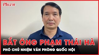 Phó Chủ nhiệm Văn phòng Quốc hội Phạm Thái Hà bị bắt | Tin nhanh PLO