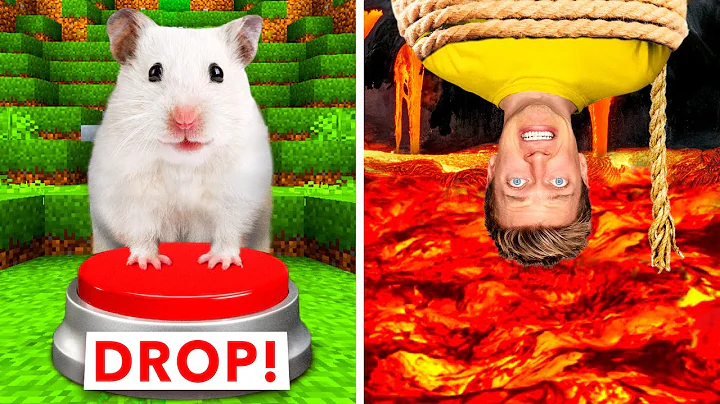 Hamster Maze vs Human Traps  Worlds Most Extreme E...