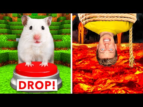 Video: Kan 'n Hamster 'n Ander Hamster Eet?