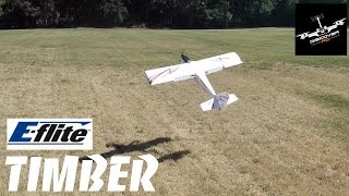 E-flite Timber | Pre-flight + flight review