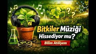 Bitkiler Müziği Hissediyor Mu? Şaşırtan Gerçekler