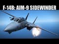 F-14B Tomcat: Aim-9 Sidewinder Tutorial | DCS WORLD