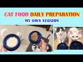 CAT FOOD II DAILY PREPARATION II MY OWN VERSION