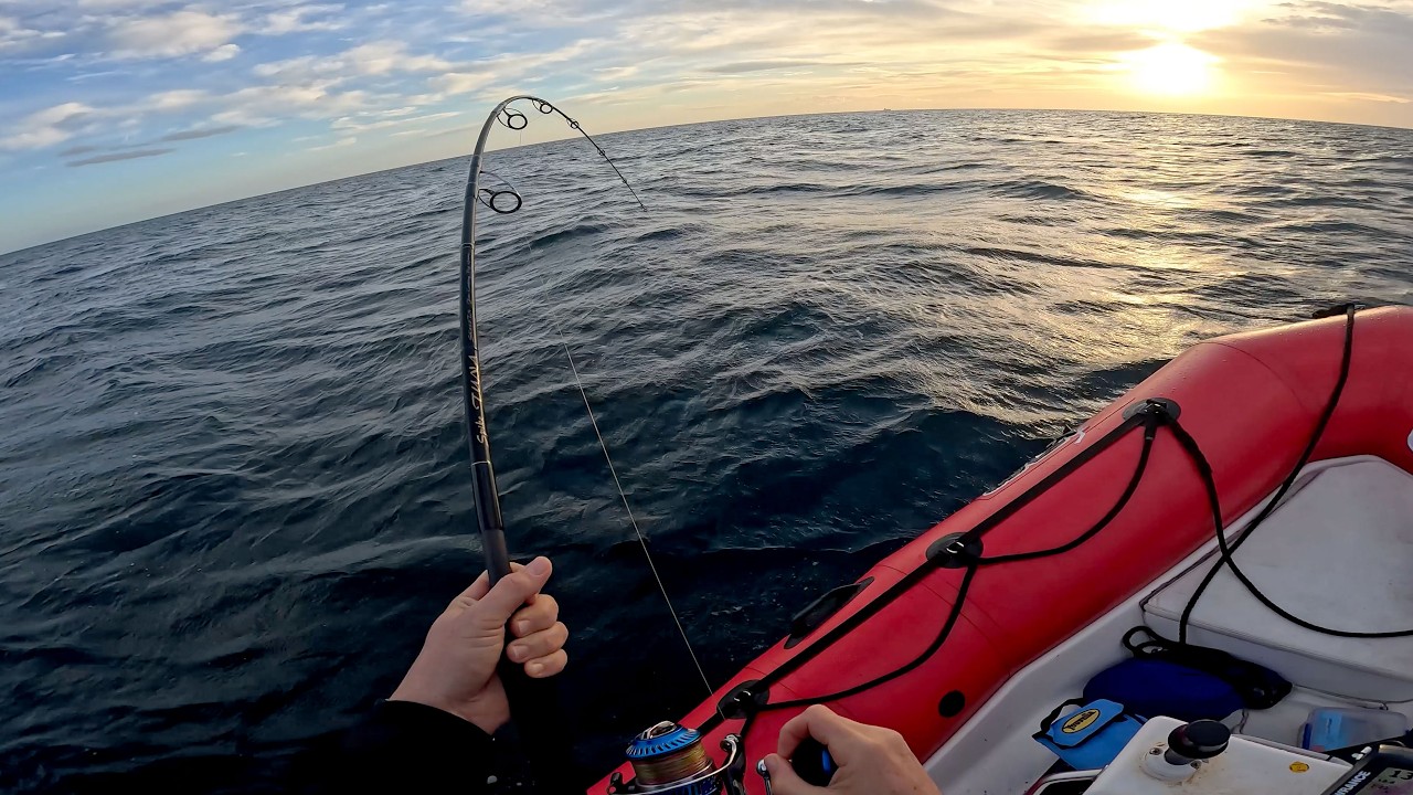 Tenryu Spike Yellowtail & Tuna Rod Review - YouTube
