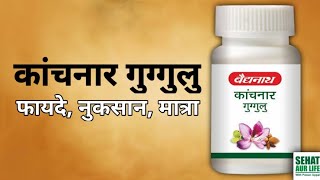 कचनर गगगल, फयद, नकसन, मतर Kanchanar Guggulu, Benefits, Side Effects, Dosage