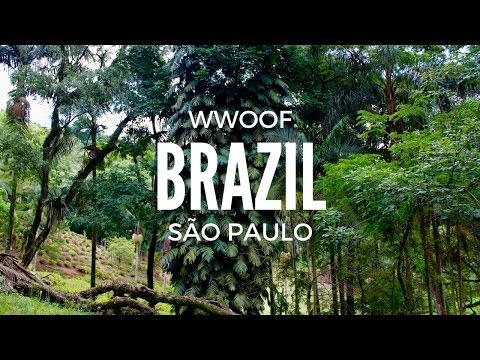 Video: Munculnya WWOOFing Di Brasil - Matador Network