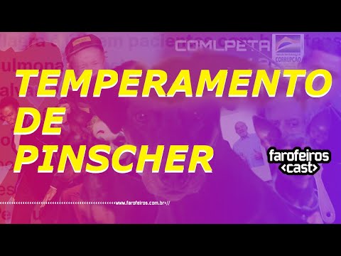 TEMPERAMENTO DE PINSCHER - Farofeiros Cast #070