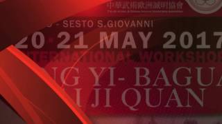 WANG FULAI - MILAN 2017 PROMO