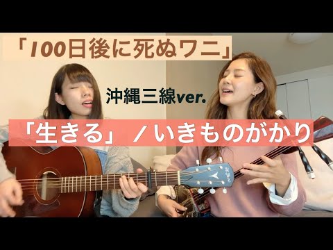 「100日後に死ぬワニ」生きる/いきものがかり（沖縄三線ver.）