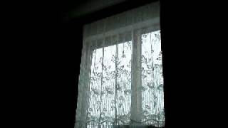 P1180836