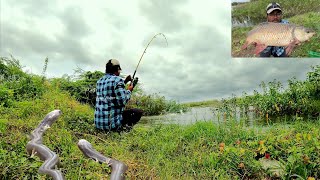 Amazing Fishing and cooking |Best fishing tips and tricks ||Best fishing techniques || catching Rohu