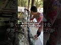 片付かない人はこれをやって!