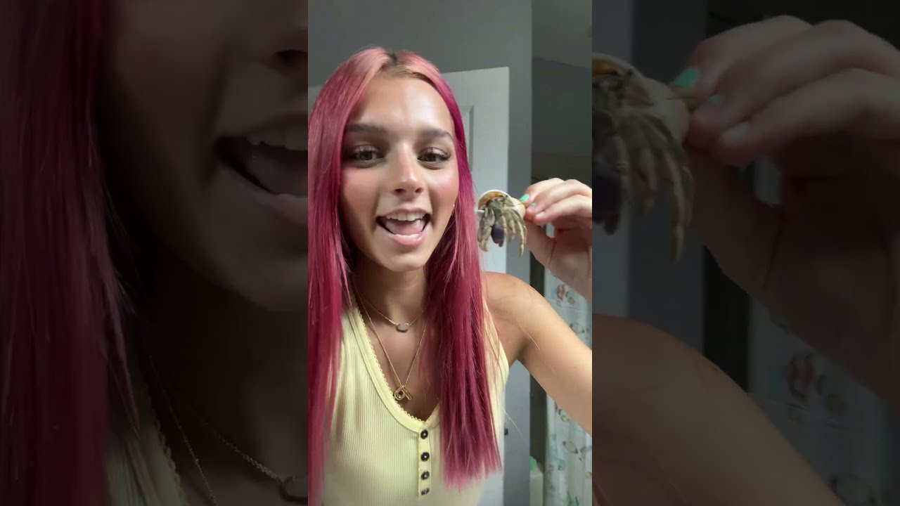 Can You Guess What ANIMAL This Is Jesuslovesyou Pinkhair Fyp Animal Makeup Lipsync Viral