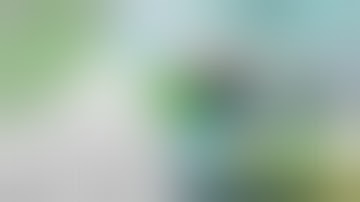 Install Nintendo Wii Games in DOLPHINIOS ✅ SAFARI - NO PC 🔥 For FREE!