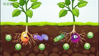 Cara Kerja Pupuk Organik Probiotik Isaru 