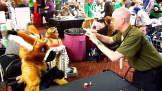 2 Gryphon & Telephone - Rocky Mountain Fur Con 2013