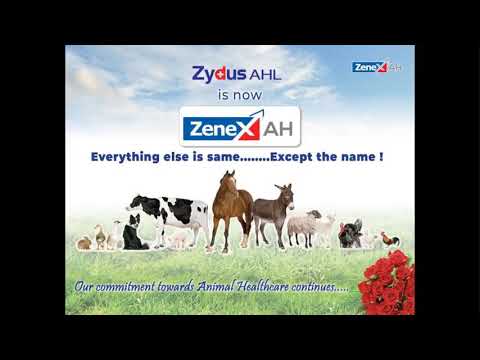 ZAHL Product description