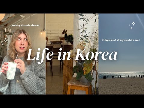 Life in Korea | making friends abroad and trying new things in Busan