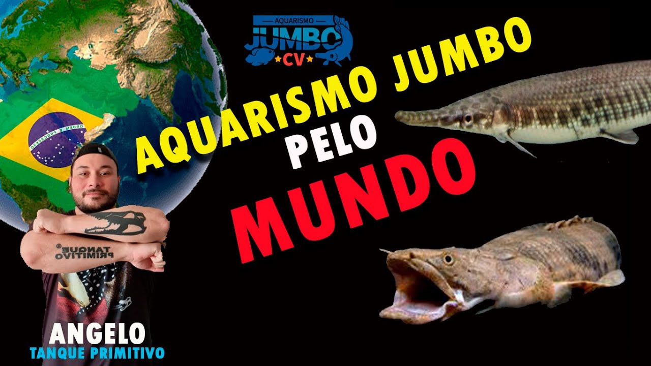 Aquarismo Jumbo Pelo Mundo – EP6 – Angelo