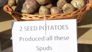 Sobac Ploughing 2015