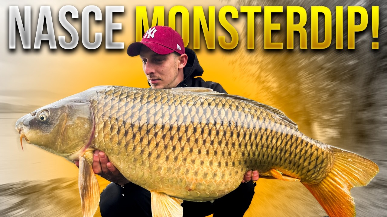 A PIETRAFITTA si pesca COSI!😱🎣 | CARPFISHING