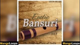 Exotic Bansuri Volume 4 |  84 Melodic Bansuri Lines