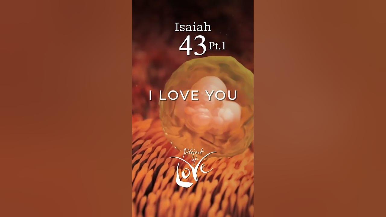 The Bible in song | Isaiah 43:4 ‘You are precious to me, you’re honored and I love you.’ #isaiah43