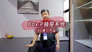 Marix Box P drawer system - CBD highlight product by Häfele China 海福乐中国 34 views 9 months ago 2 minutes, 15 seconds