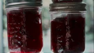 AGATHA'S ALMANAC (directed by Amalie Atkins) ***Official Trailer*** with laurels