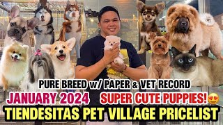 JAN 2024 UPDATED PET PRICE LIST IN TIENDESITAS PET VILLAGE!🐶🐱🐾100%LEGIT PURE BREEDS *MUST WATCH* by PatTV 3,180 views 3 months ago 12 minutes, 59 seconds