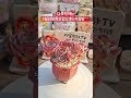 다육천하tv3월13일목요일오후6시실방❤️#다육 #flowers #plants #succulents #다육이 #다육이키우기 #多肉植物 #다육식물 #판매 #shorts #임영웅