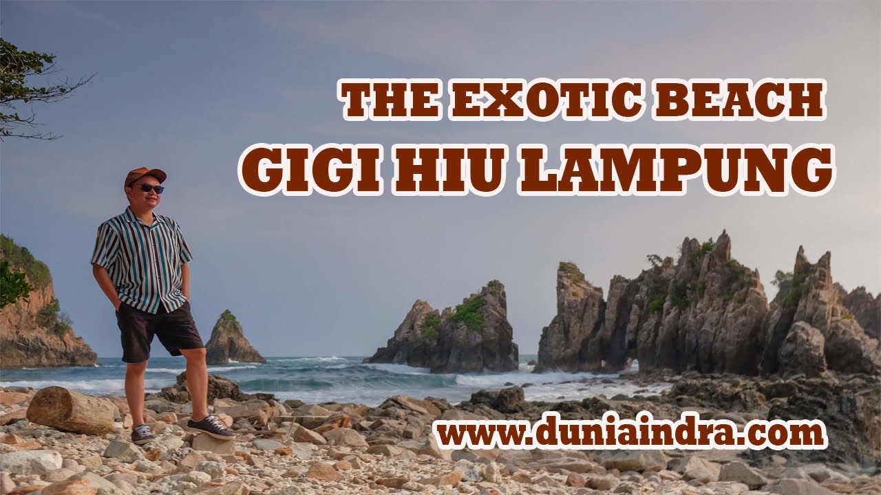 CARA MENUJU GIGI HIU LAMPUNG VIA KELUMBAYAN