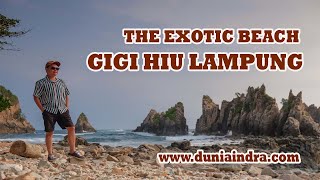 CARA MENUJU GIGI HIU LAMPUNG VIA KELUMBAYAN