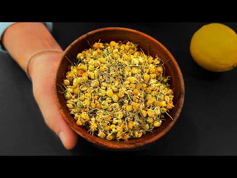 🤩Eine Pflanze, die alles heilt! Leber, Blutzucker, Nieren, Darm, Herz, Knochen