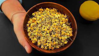 Her Şeyi Iyileştiren Bir Bitki Karaciğer, Kan Şekeri, Böbrekler, Bağırsaklar, Kalp, Kemikler