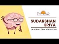 Sudarshan kriya  la science de la respiration  art de vivre france