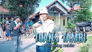 TOANG TAMBI VOC AJENG NABILA EDISI OBROG SIANG DESA SUCI BLOK SIJAMBE