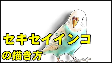 動物の描き方 超かんたん パンダの絵の書き方 初心者でも簡単なイラストのコツ Mp3