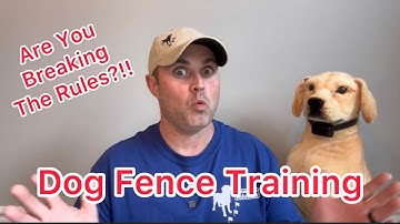 How to train a dog to an Underground Dog Fence - Important Rules To Follow - Don’t Make This Mistake