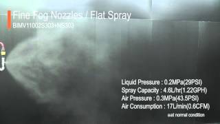 [BIMV 11002 S303 NS303] Fine Fog Nozzles / Flat Spray [IKEUCHI] #1