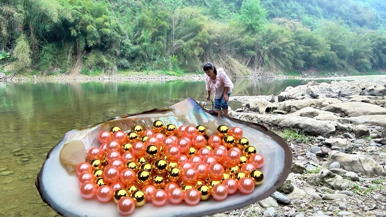 The old clam blooms splendid golden pearls