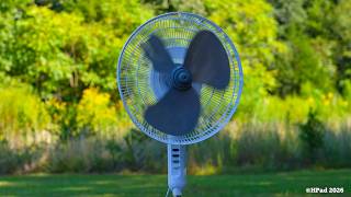 EZ Chill Pedestal Fan Dance