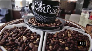 Heather Takes The Coffee Quiz